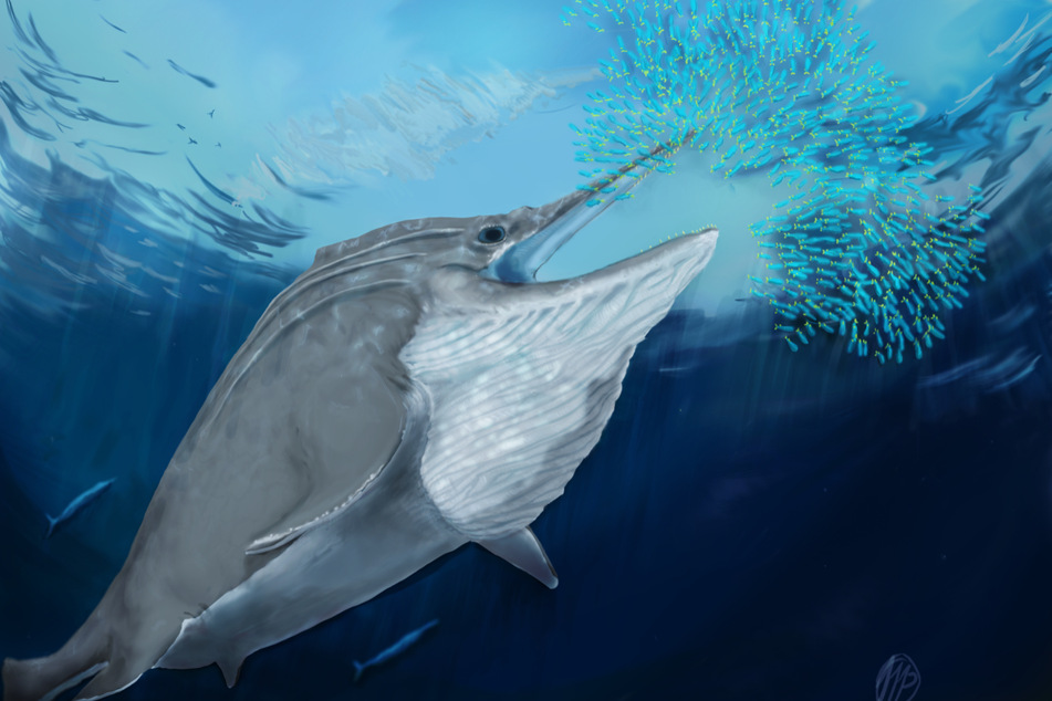 In seiner Zeit - vor mehr als 200 Millionen Jahren - war der neuentdeckte Fischsaurier der König der Meere.