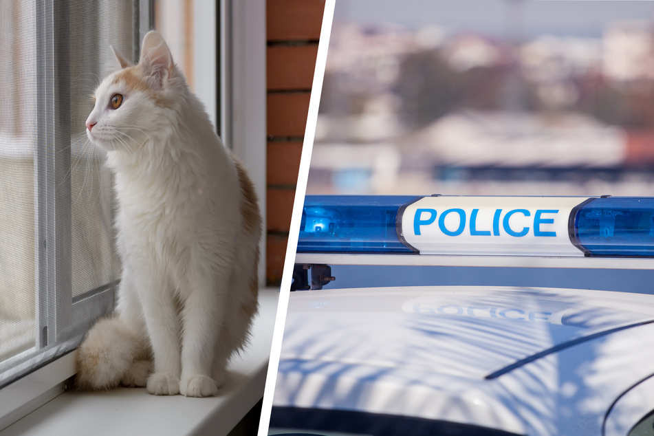 Die Polizei konnte den kleinen Jungen (†3), der die Katze befreien wollte, nicht mehr retten. (Symbolfotos)