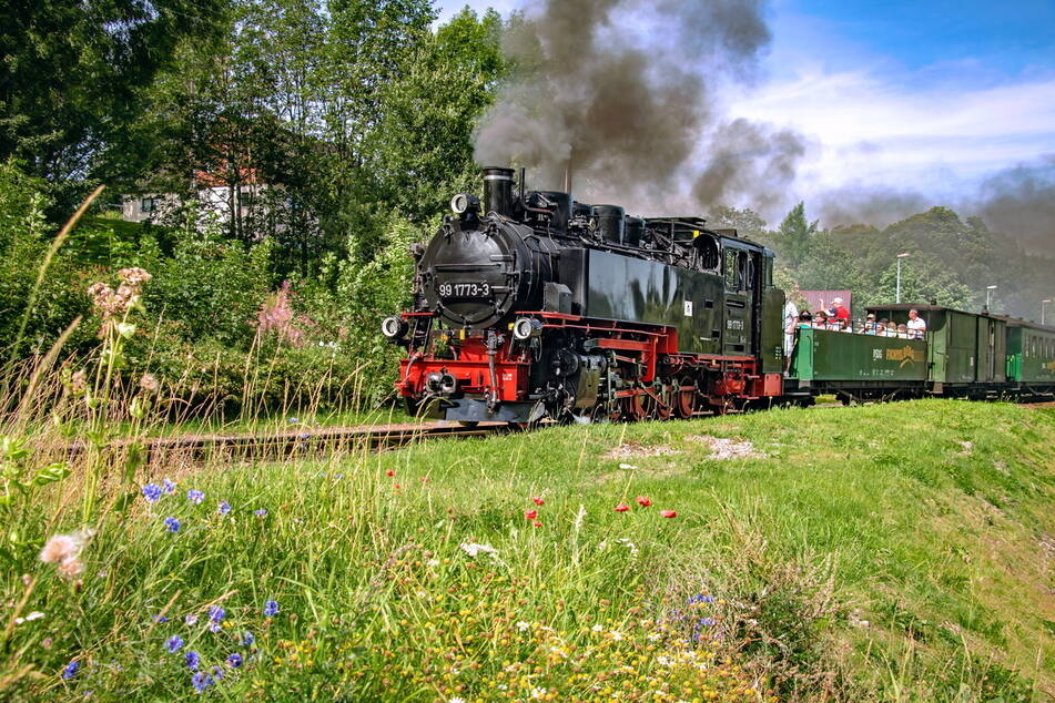 Die Fichtelbergbahn ist beliebt bei Groß und Klein.