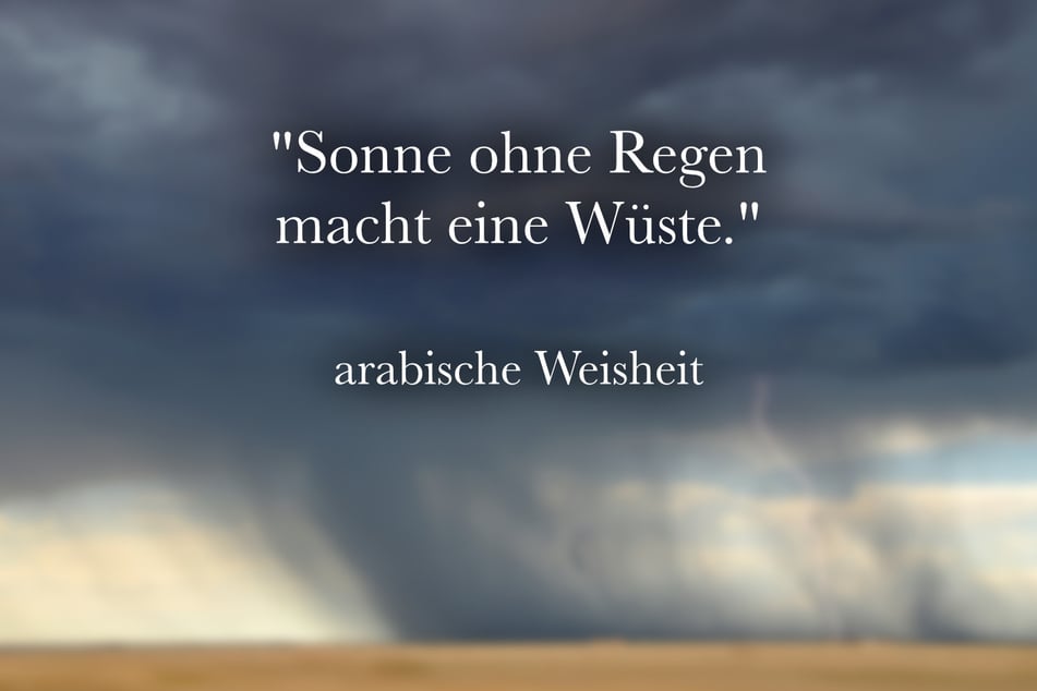 Zu Regentagen passt die arabische Weisheit: "Sonne ohne Regen macht eine Wüste."