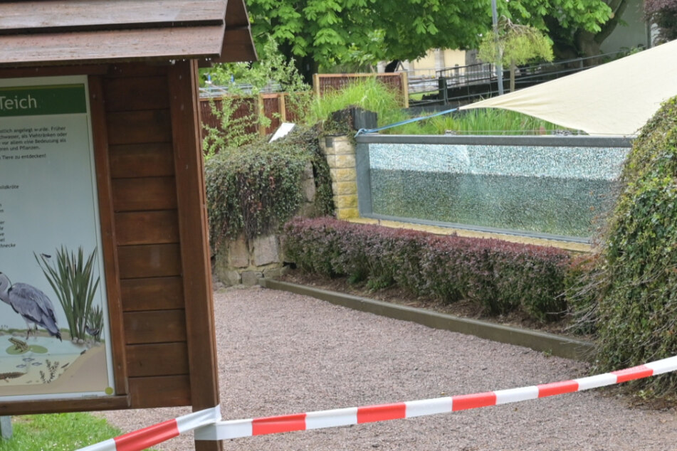 Vandalismus in sächsischem Tierpark: Wer hat Scheibe des Vivariums zerstört?