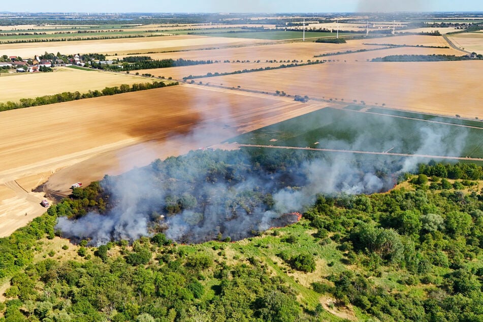 Ein Feldbrand hat auf einen angrenzenden Wald übergegriffen.