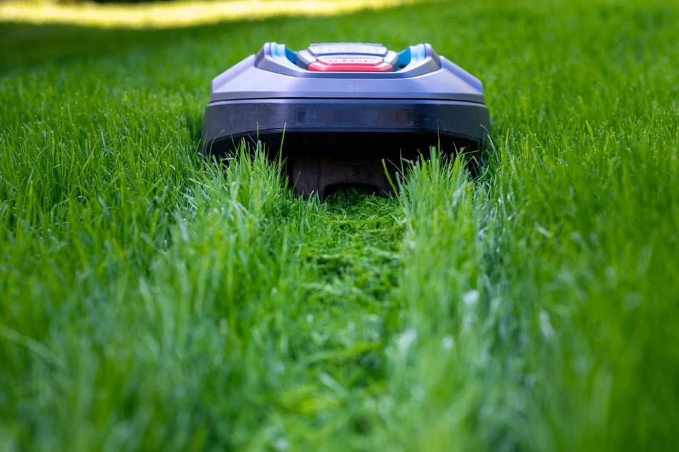 Auch ein Mähroboter kann zum Rasenmulchen verwendet werden.