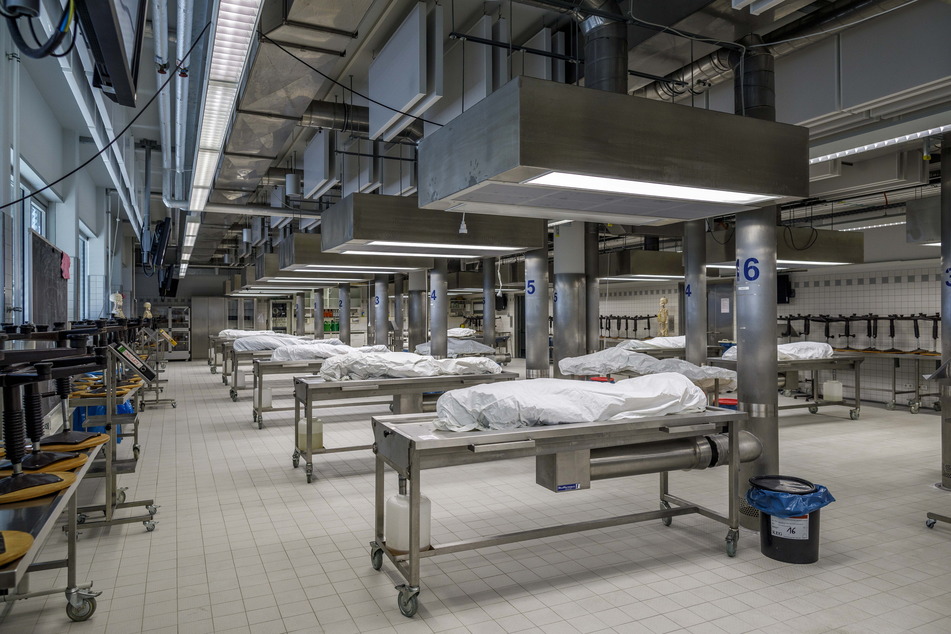 Blick in den Präparationssaal im Medizinisch-Theoretischen Zentrum (MTZ) des Universitätsklinikums Dresden. Hier präparieren Studenten konservierte Leichname, um Basiswissen über den menschlichen Körper zu erwerben.