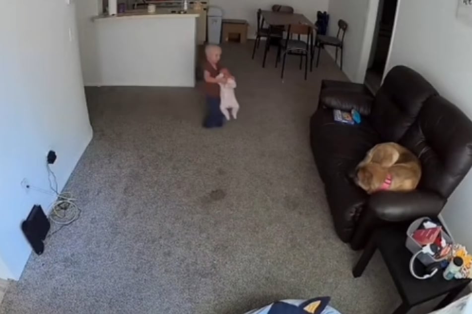 Das tut schon beim Zuschauen weh: Greyson (2) schleppt das Baby völlig unbeholfen zum Sofa.