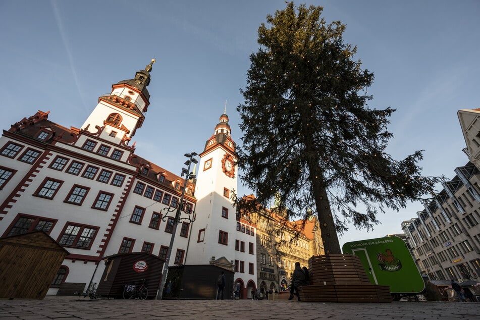 Ob der diesjährige Weihnachtsbaum auf dem Chemnitzer Marktplatz auch so groß ist wie der Baum im vergangenen Jahr? Das wird sich am 5. November zeigen.