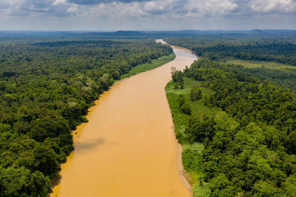 The crocodile attack occurred in a river on the Indonesian island of Borneo (stock image).