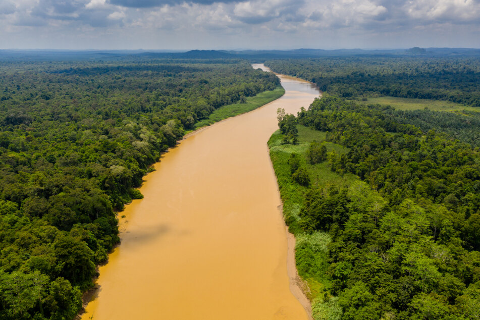 The crocodile attack occurred in a river on the Indonesian island of Borneo (stock image).