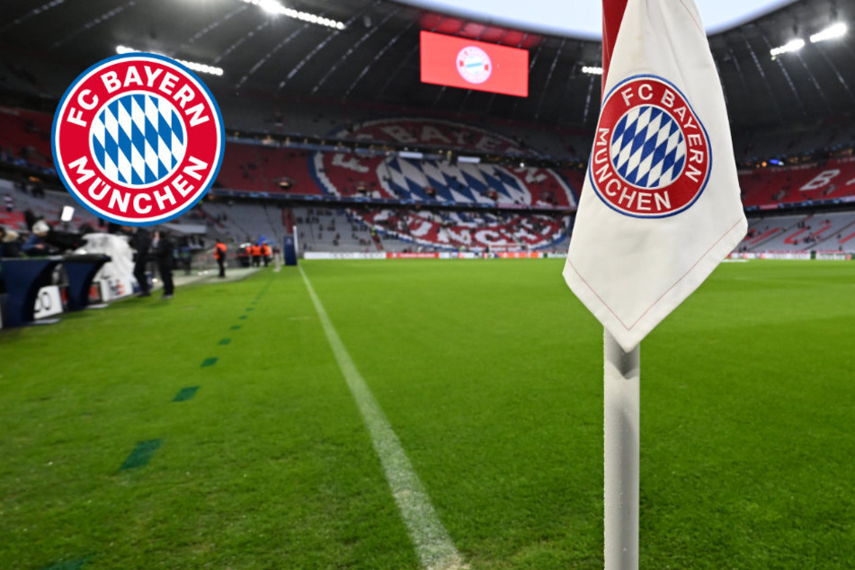 Stehplätze hinter dem Tor fallen weg: FC Bayern modernisiert Allianz Arena