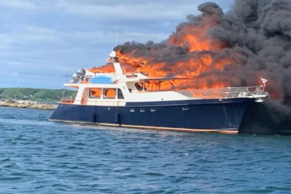 Yacht goes up in flames as passengers and dogs jump overboard