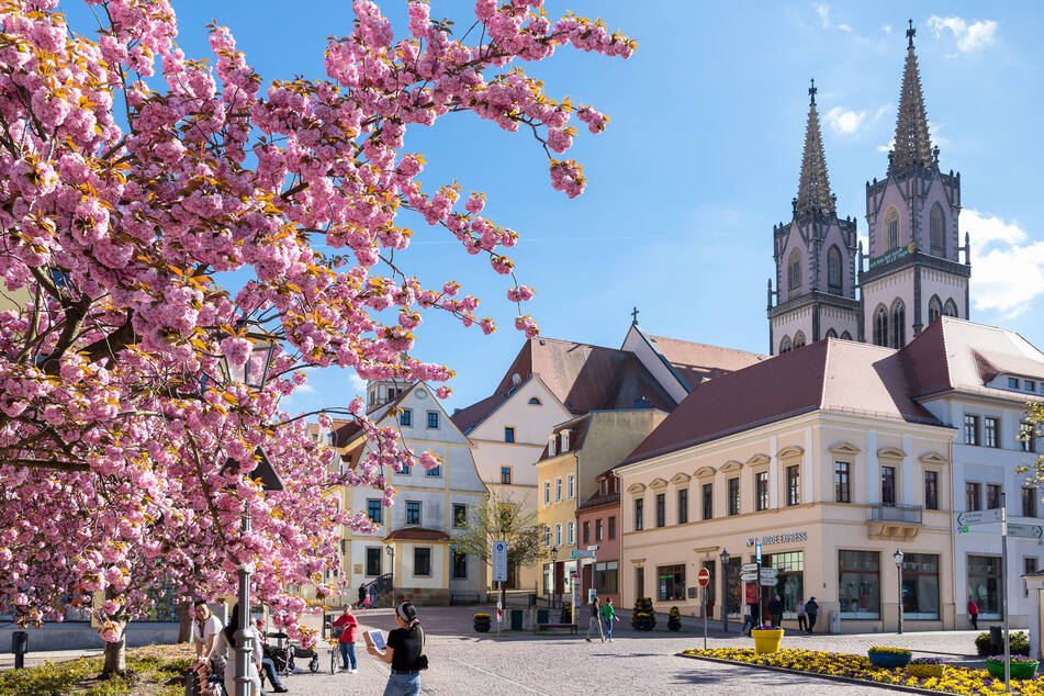 Gartenschau im O-Schatz-Park: Dreistündige Siesta rettet das Fest-Wochenende