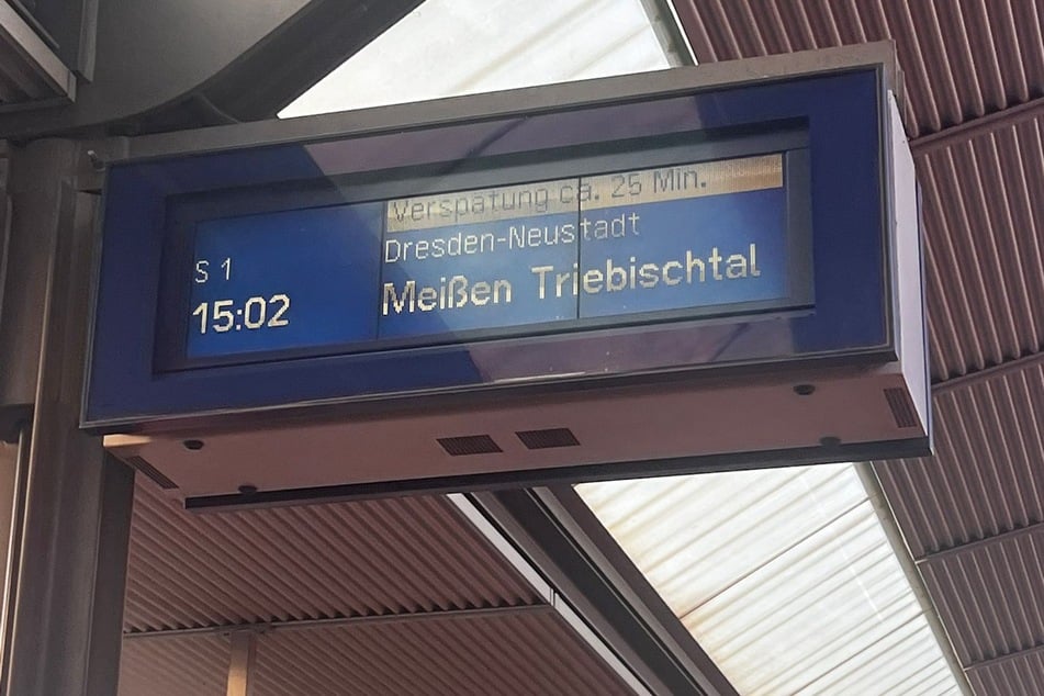 Die S-Bahnen stauten sich. Fahrgäste waren mit Verspätungen - wie hier am Haltepunkt Freiberger Straße - konfrontiert.