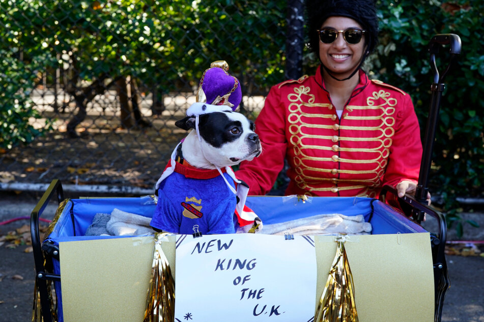 Forget Prince Charles, this pup was the next hopeful in line after the passing of Queen Elizabeth II.