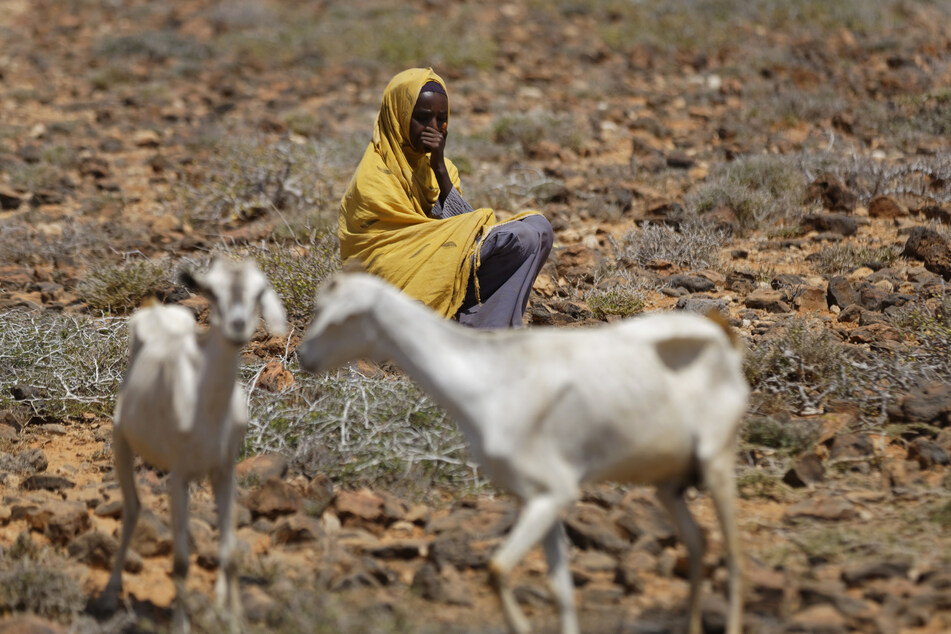 Ärmliches Leben: Eine Frau sitzt in einem Wüstengebiet bei Bandar Beyla im Nordosten der autonomen Region Puntland in Somalia neben ihren beiden abgemagerten Ziegen.