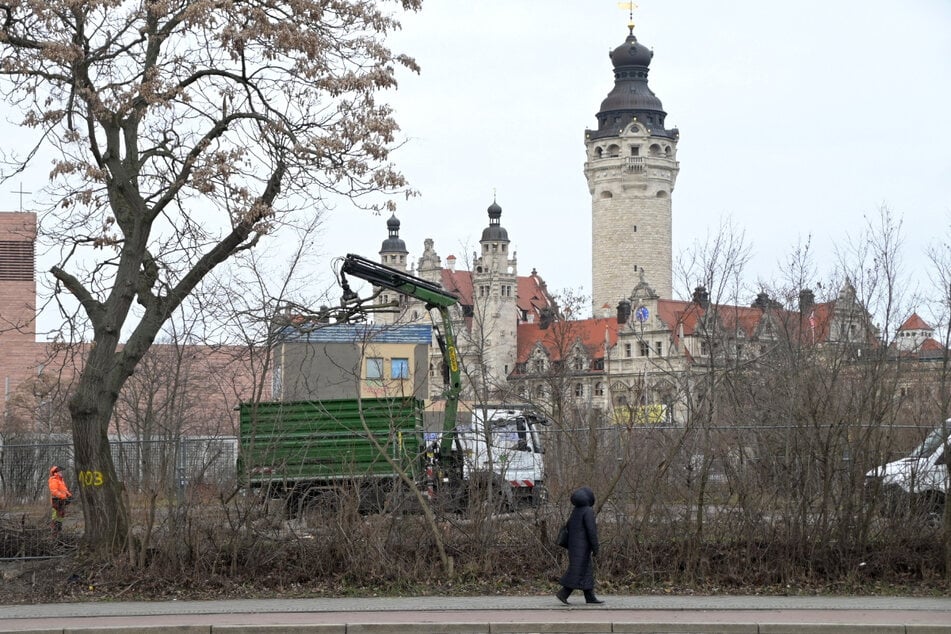 Auch in Leipzig werden immer mehr Lebensräume zerstört, zuletzt am Wilhelm-Leuschner-Platz.