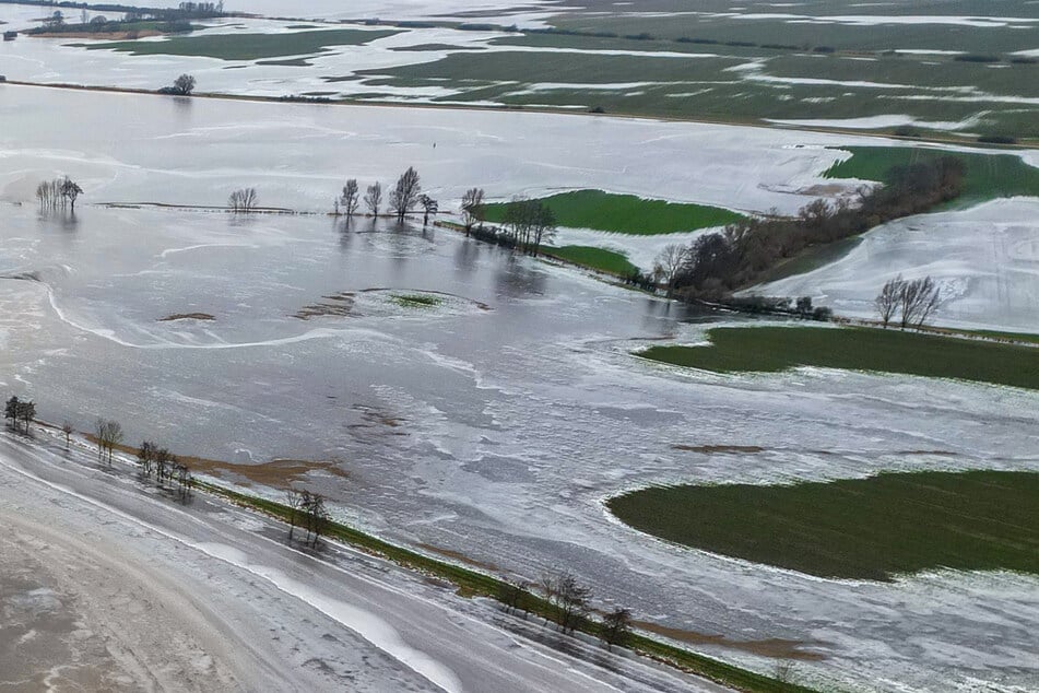 Nach dem Winterhochwasser: Landwirtschaft kämpft noch immer mit Folgen
