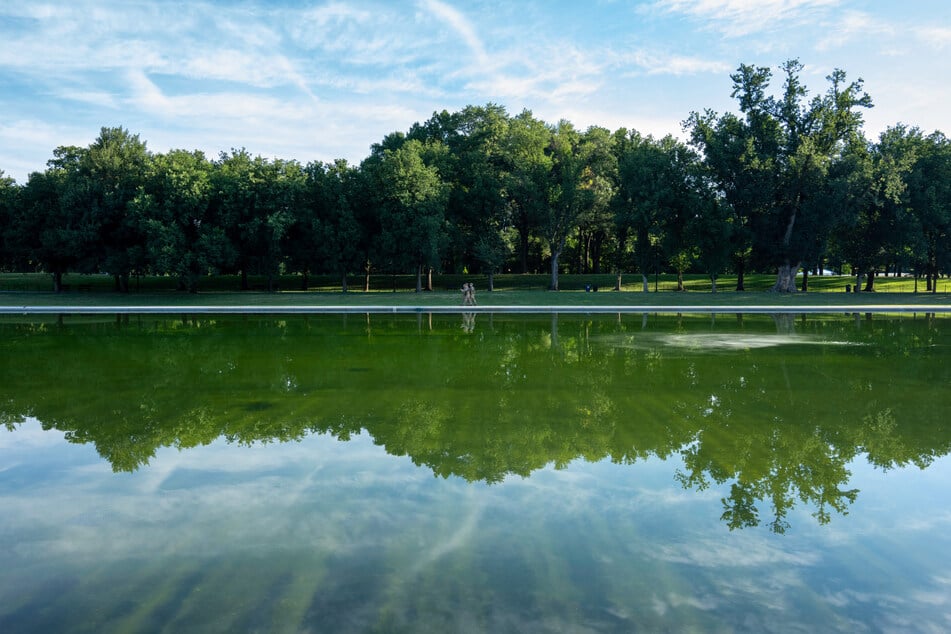 Trump's Reflecting Pool project faces new blunder as paint starts peeling