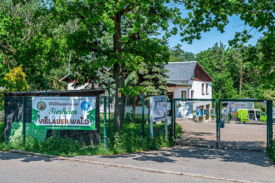 Die MDR-Sendung "Tierisch tierisch" war im Tierheim Vielauer Wald zu Besuch.