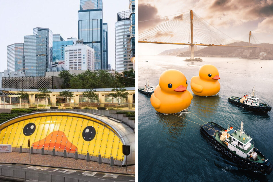 XXL-Quietsche-Ente: Riesige Gummi-Enten in Hongkong aufgetaucht!