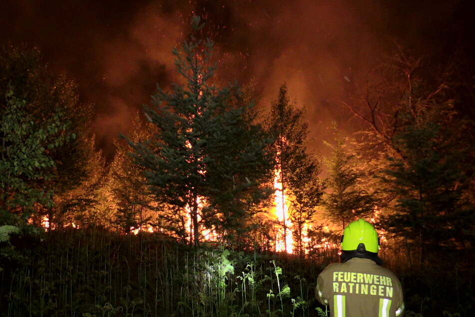 Am Dienstagabend gegen 22.30 Uhr kam es im Kreis Mettmann aus bislang ungeklärter Ursache zu einem verheerenden Waldbrand.