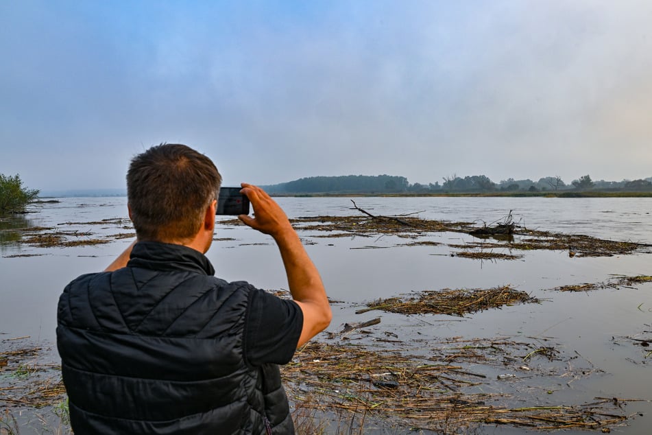 In vielen Regionen in Brandenburg treten aktuell die Flüsse über die Ufer.