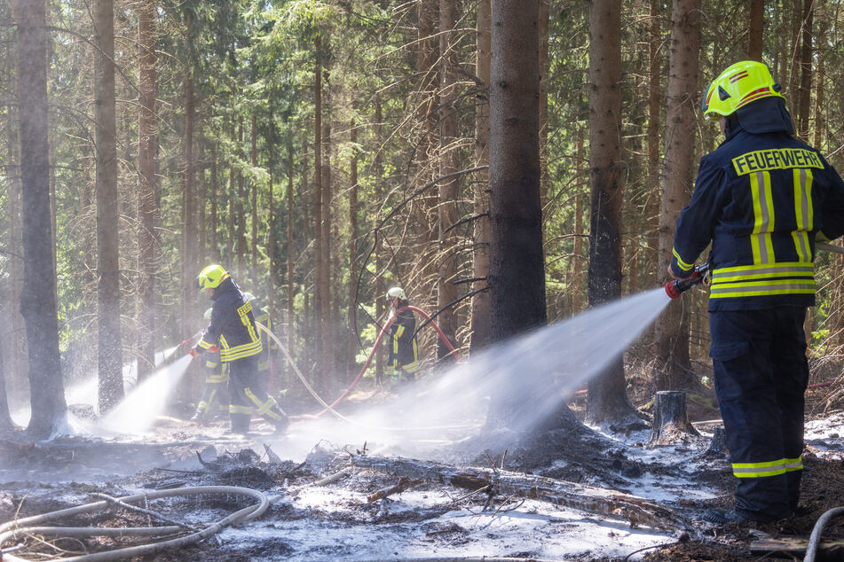 Feuerwehr im Dauereinsatz: Auch im Vogtland brennen die Wälder
