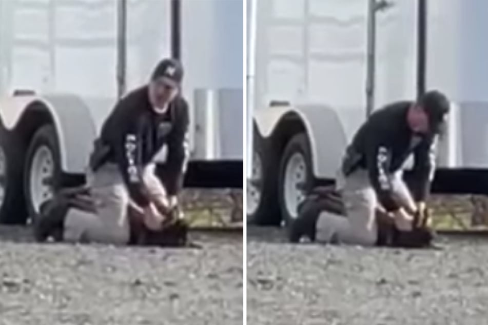 In the video, a police officer is seen punching his dog in the head repeatedly.