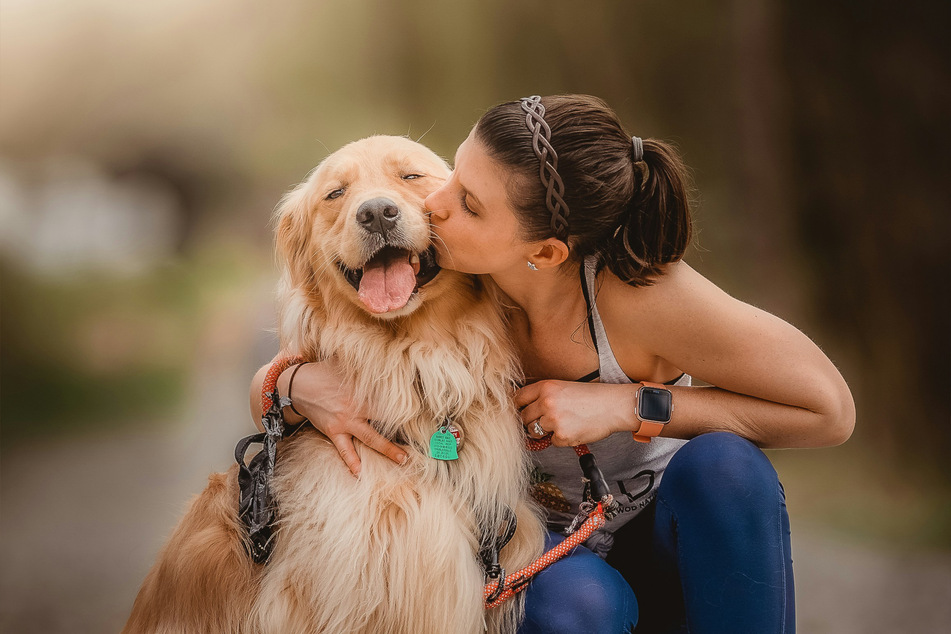 The love of a golden retriever is, quite simply, priceless.