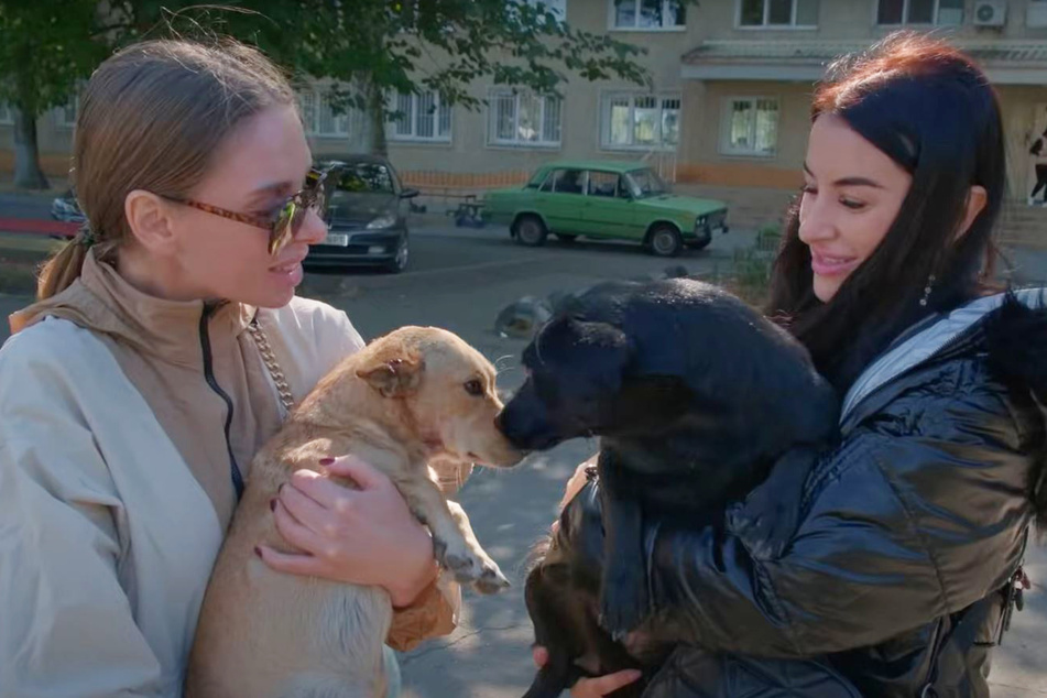 Olena (l.) und ihre Kollegin halten die Hunde in ihren Armen.