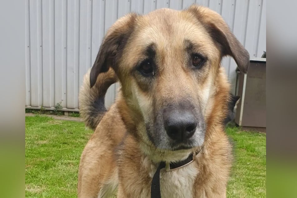 Mandy si přeje mít domov na venkově.