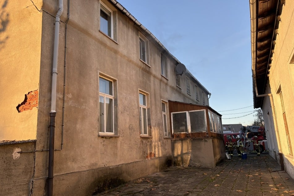 Auch eine Katze wurde aus der Brandwohnung gerettet.