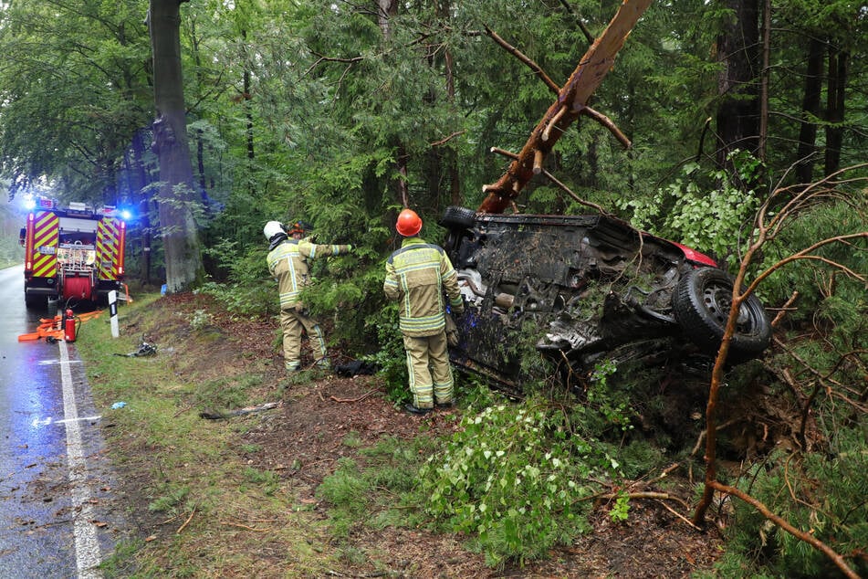 Unfallort: die Ullersdorf-Langebrücker Straße in der Dresdner Heide. Ein Mazda landete im Gehölz.