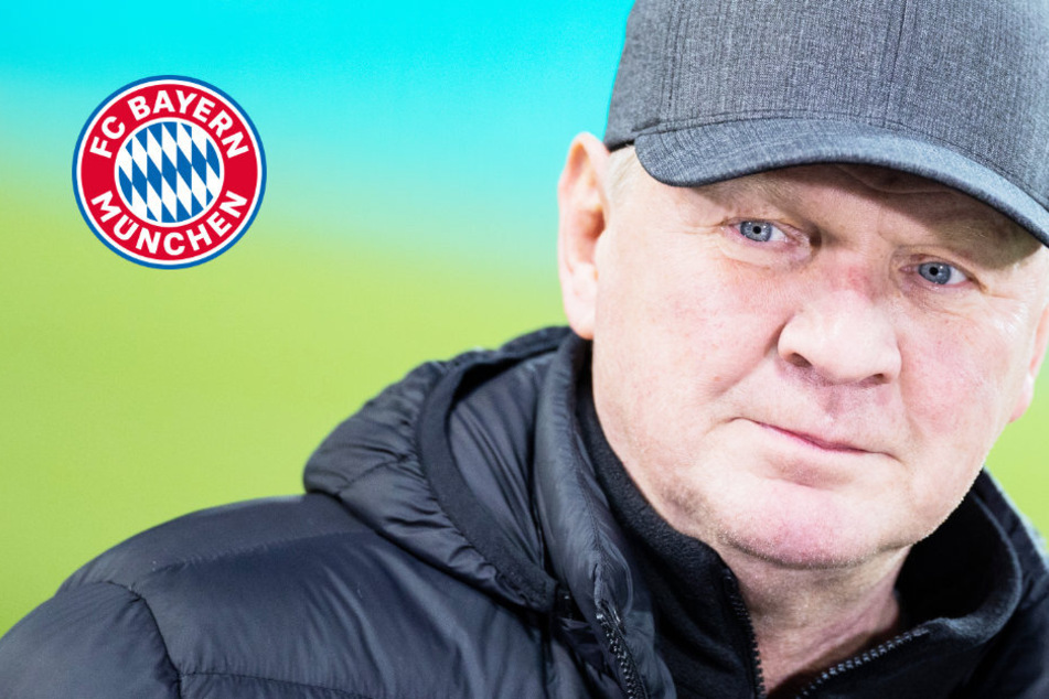 Rückkehr zum FC Bayern: Das ist Stefan Effenbergs neue Rolle beim Rekordmeister