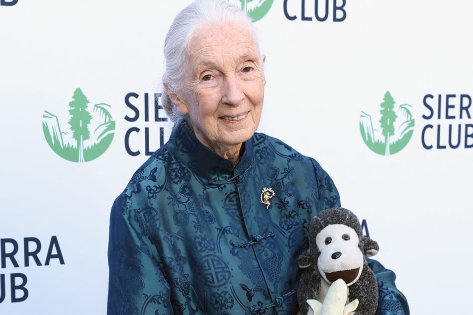 Jane Goodall died earlier this month at the age of 91.