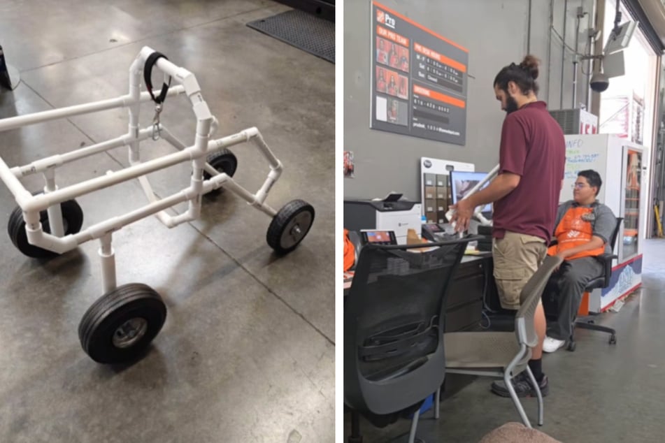 Die Mitarbeiter der Baumarkt-Kette Home Depot ließen sich etwas Besonderes für Zeke einfallen.