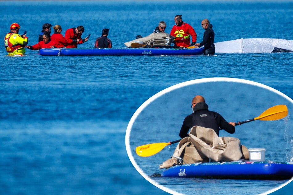 Rettungsversuch für gestrandeten Buckelwal gestartet: Helfer legen Gurte an "Timmy" an