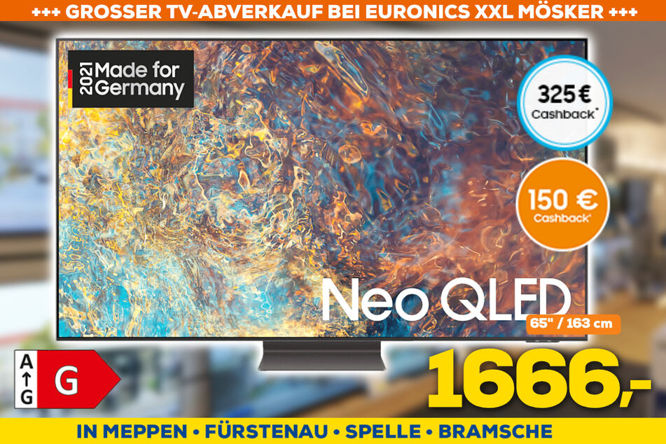 GQ65QN95AAT für 1.666 Euro