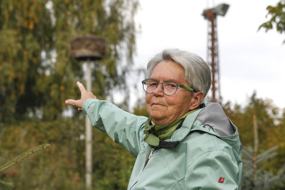 Margit Müller (77) beobachtet die Störche schon, seit sie sich das erste Mal in ihrer Nachbarschaft niederließen.