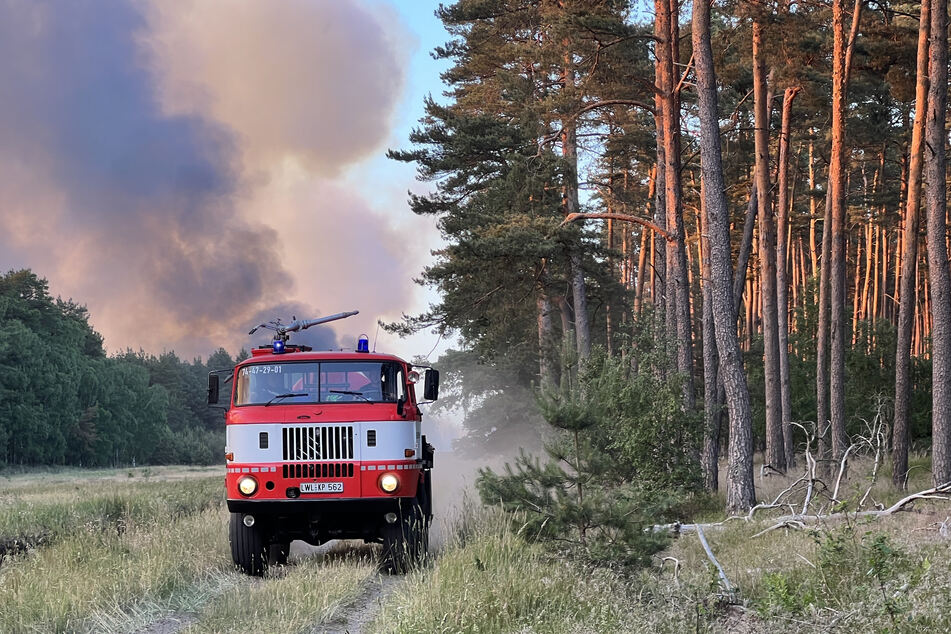 Ein Löschfahrzeug der Feuerwehr befindet sich im Einsatz bei einem Waldbrand.
