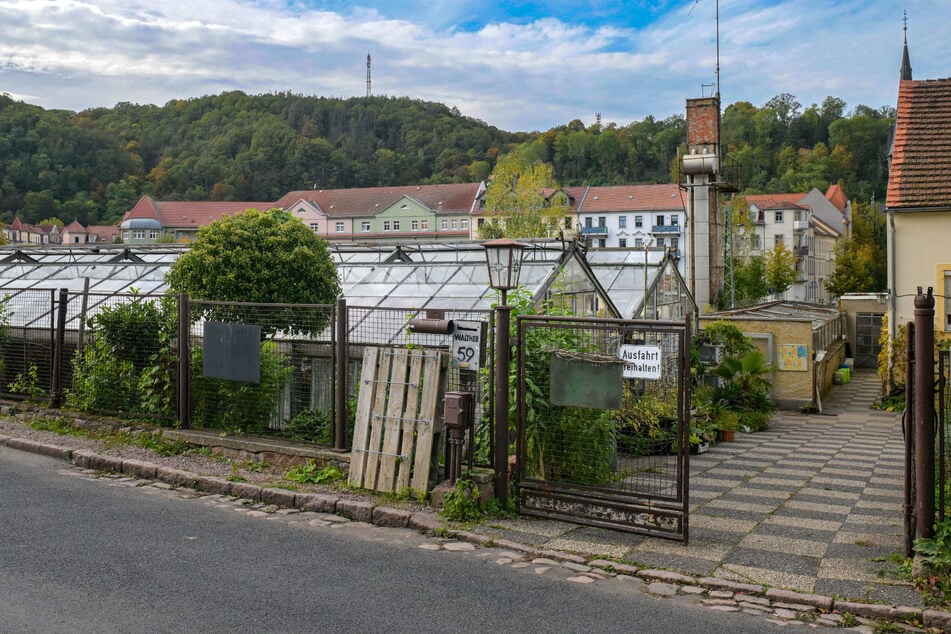 "Buntes Meißen" schon wieder von Vandalen besudelt