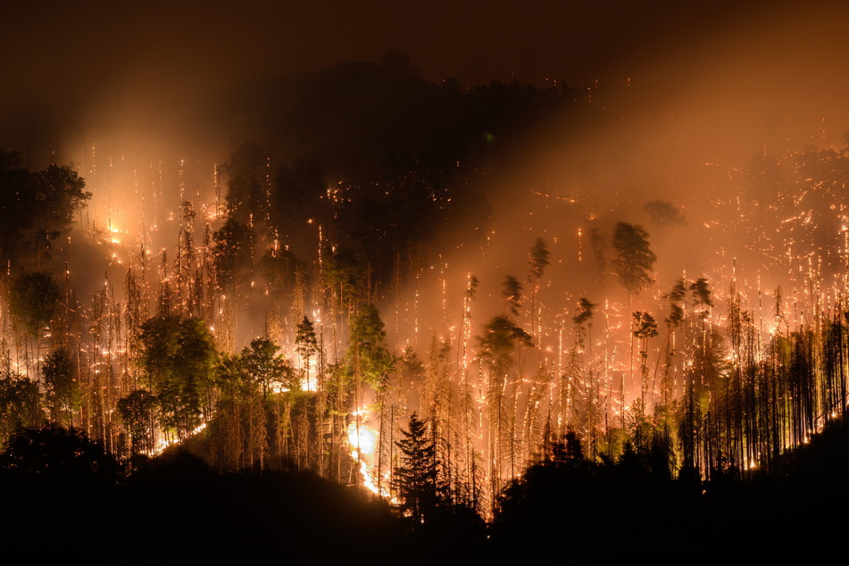 Waldbrand im Sommer 2022 im Elbsandstein-Gebirge. Die Aufarbeitung der Katastrophe durch Experten zeigte, was besser gemacht werden kann. Diese Erkenntnisse fanden Berücksichtigung im neuen Gesetz.