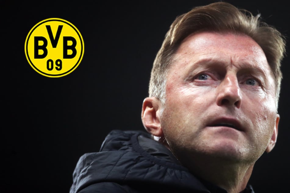 BVB-Sechser in die Premier League? Hasenhüttl heiß auf Dortmunder 10-Millionen-Schnäppchen!