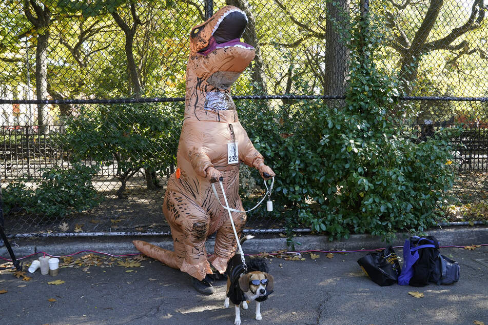 This costume of a T-Rex chasing Jeff Goldblum from the movie Jurassic Park won Best Scariest Theme.