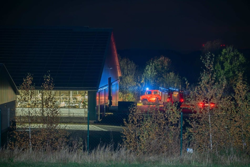 Die Kameraden der Freiwilligen Feuerwehr Hainewalde mussten am späten Mittwochabend in einen Gülle-Kanal steigen.