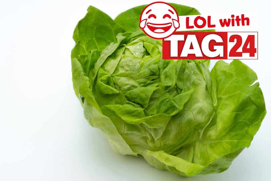 Joke of the Day for April 24, 2026: A yummy funny knock-knock joke