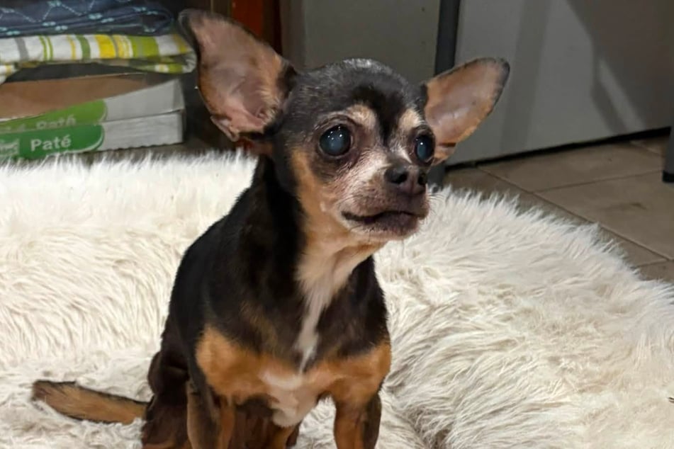 Flor ist inzwischen 16 Jahre alt. Wo war sie nur zwölf lange Jahre?
