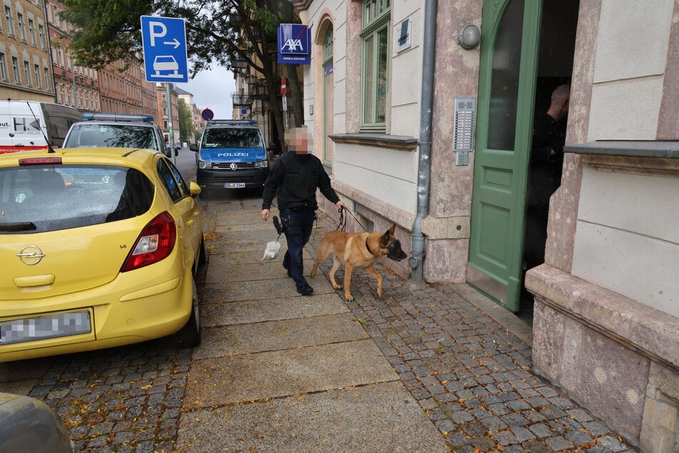 In einem Mehrfamilienhaus an der Fürstenstraße kam bei einer Wohnungsdurchsuchung auch ein Spürhund zum Einsatz.