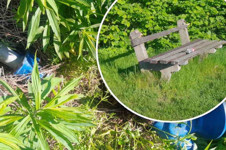 Bank beschädigt, Fernglas zerstört: Pfingst-Chaoten nehmen Aussichtspunkt im Erzgebirge auseinander