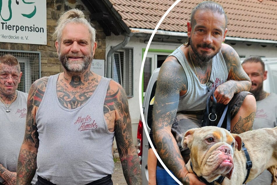 Hund wird während Dreharbeiten an Schnellstraße vorm Tierheim ausgesetzt: "Das Allerletzte"