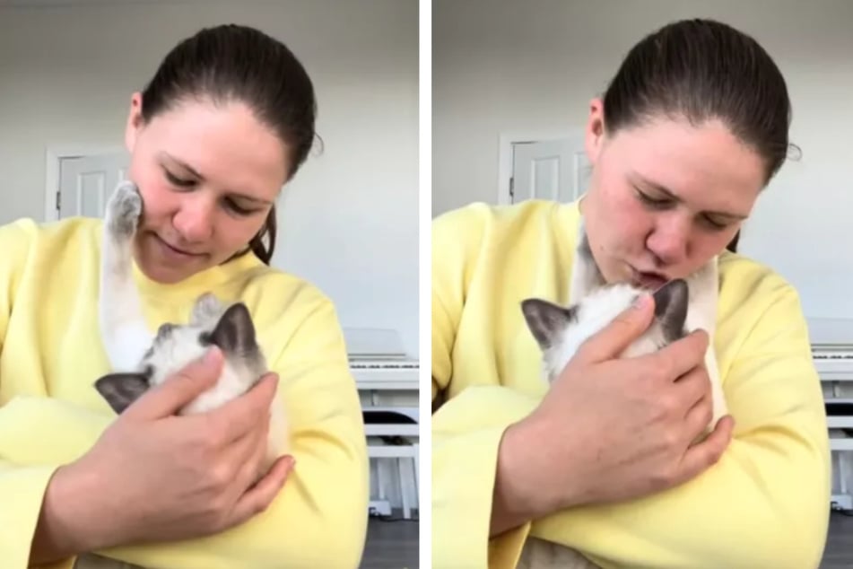 Linn is the proud owner of 9-month-old Ragdoll cat Willow, who she says has been her best friend ever since she got the sweet kitty as a present.